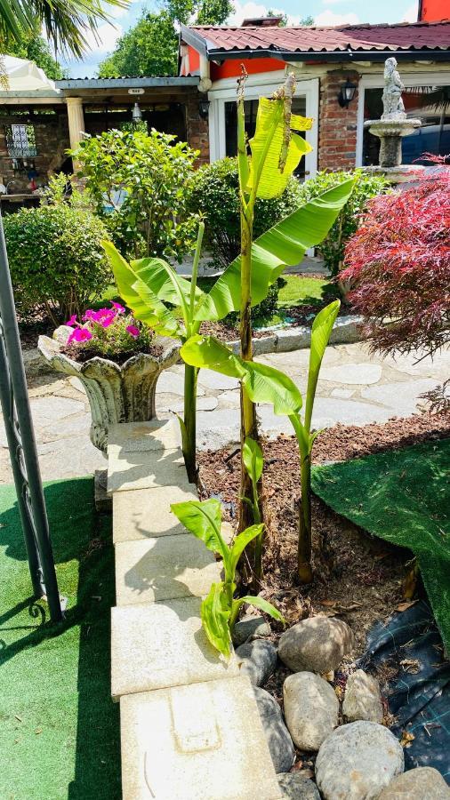 Botto Bed & Breakfast Cossato